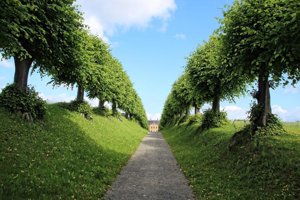 Natuurlijke zwemparadijs tuin met waterplanten, stenen randen en helder water voor verfrissende zwemmen