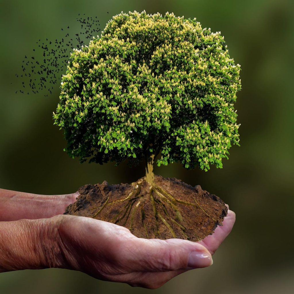 Visuele weergave van duurzaam ondernemen en ISO 14001 milieumanagement concepten voor bedrijfsimago