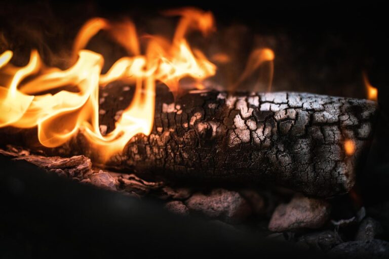 Home Een barbecuespecialist in Rotterdam bereidt kindvriendelijke BBQ-catering voor aan huis met gezinnen