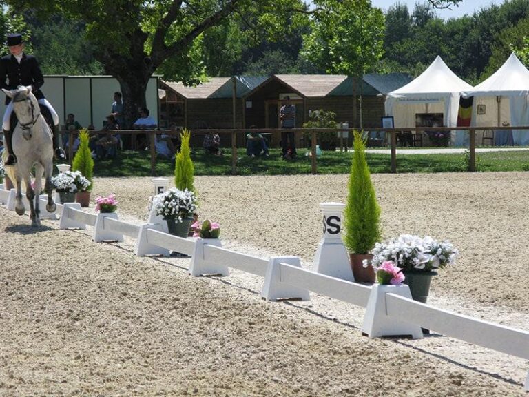 Home Vergelijking houten vs kunststof hindernissen voor paardensport met omheining op achtergrond